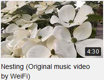 Nesting - original music video by WeiFi Productions